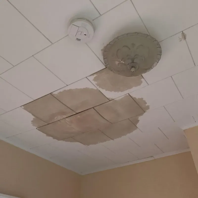 Ceiling Water Damage Repair in Derby, CT
