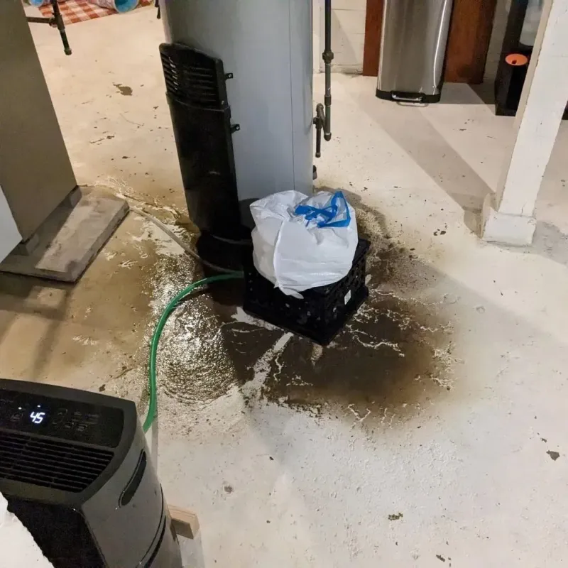 Sewage Backup Cleanup Service in Derby, CT